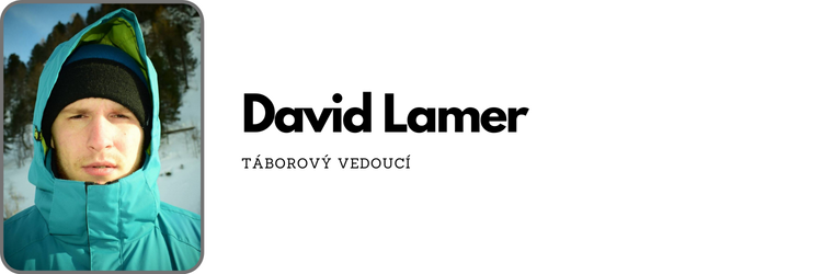 David Lamer